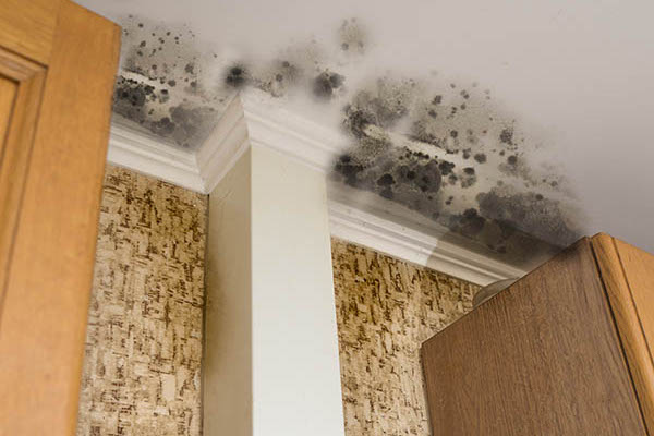 How to Find and Repair Water Leaking in the Wall